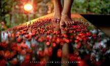 വഴിയമ്പലം