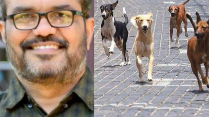 സംസ്ഥാനത്ത് ആക്രമണകാരികളും പേപിടിച്ചതുമായ തെരുവുനായ്ക്കളെ കൊന്നൊടുക്കും